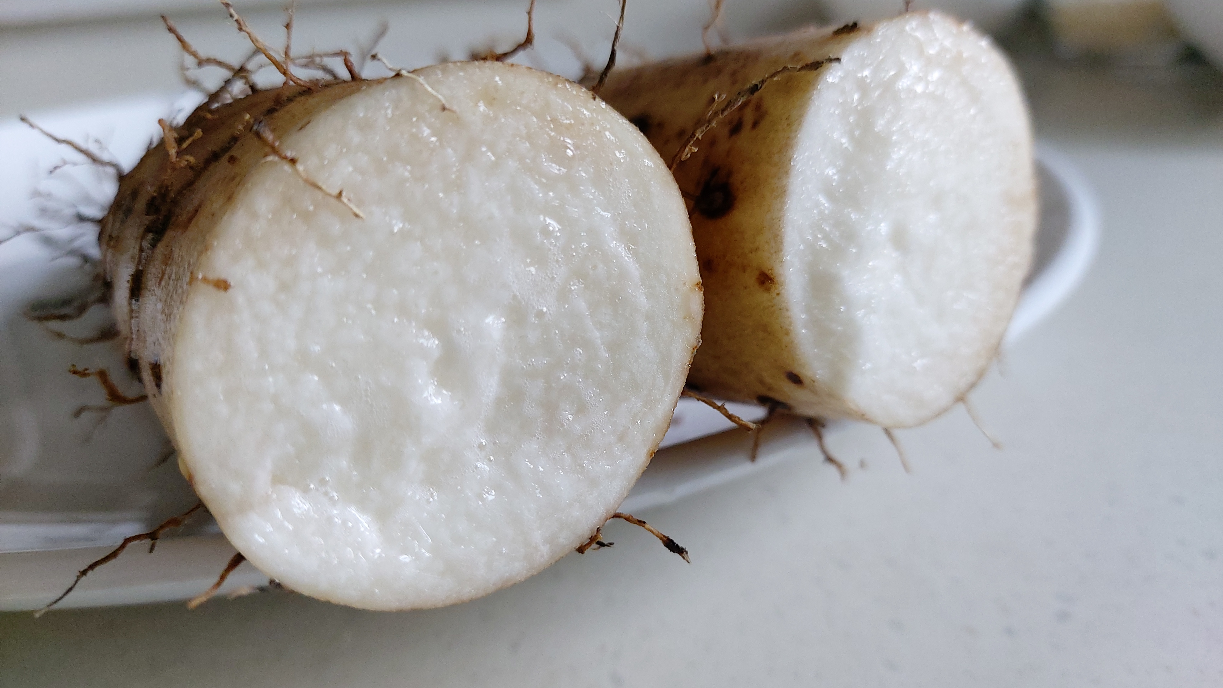 마식혜 만들기 췌장 건강