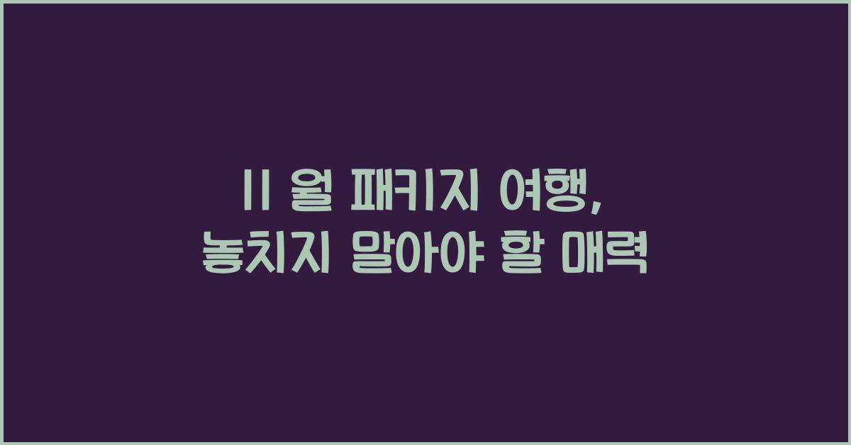11 월 패키지 여행