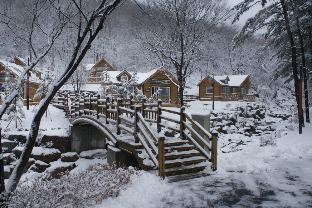 ์ฉ์ธ ์์ฐํด์๋ฆผ ์ฃผ๋ณ ๋ง์ง ์นดํ ๋งํธ ์ ํต์์ฅ ๊ฐ์์ง ๋๋ฐ ์ ๋ณด