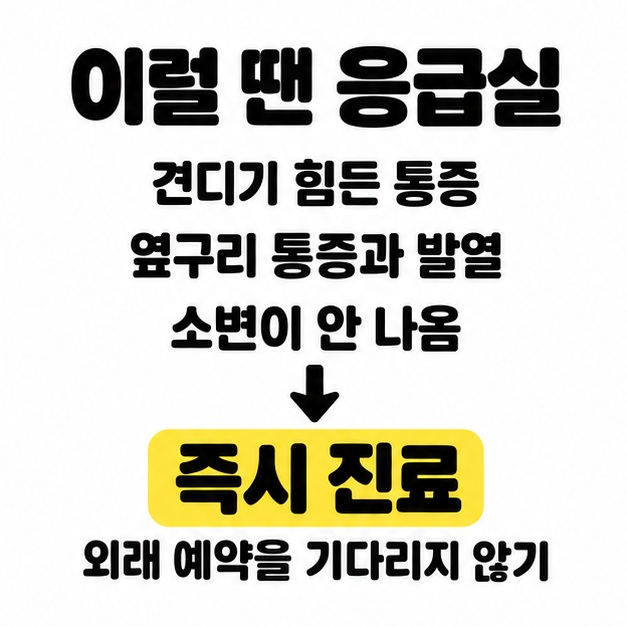 견디기 힘든 통증, 옆구리 통증과 발열, 소변이 안 나오는 증상에 즉시 진료받고 외래 예약을 기다리지 말라는 응급실 안내