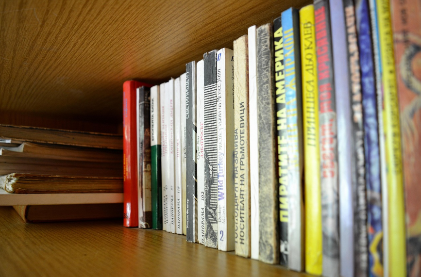 2025년 한국 추리소설 작가들(기존, 신예, 부상) 참고 사진