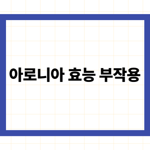 아로니아 효능 부작용