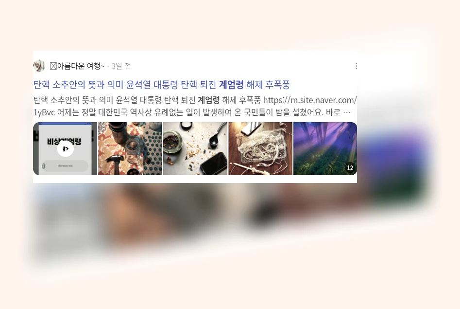 계엄령_2_subsection
