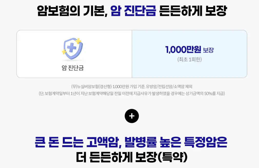 실버보험 부모님보험 시니어보험 노인보험
