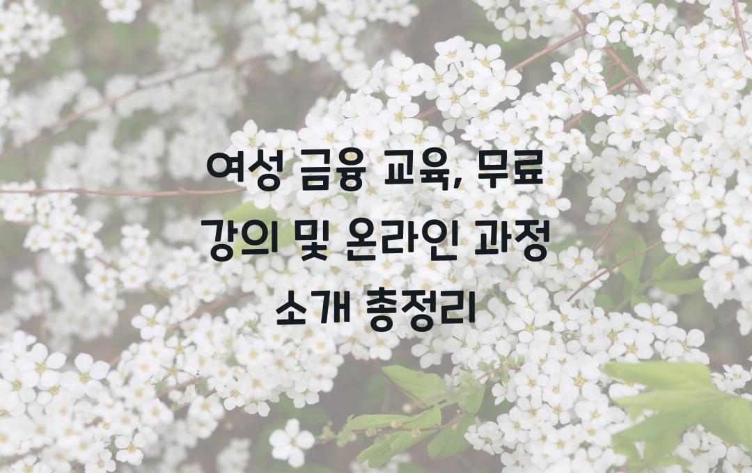 여성 금융 교육, 무료 강의 및 온라인 과정 소개