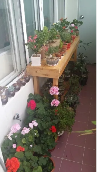 화분 베란다 단열 겨울철보온 커튼사용 찬바람차단 식물보호 요령_15