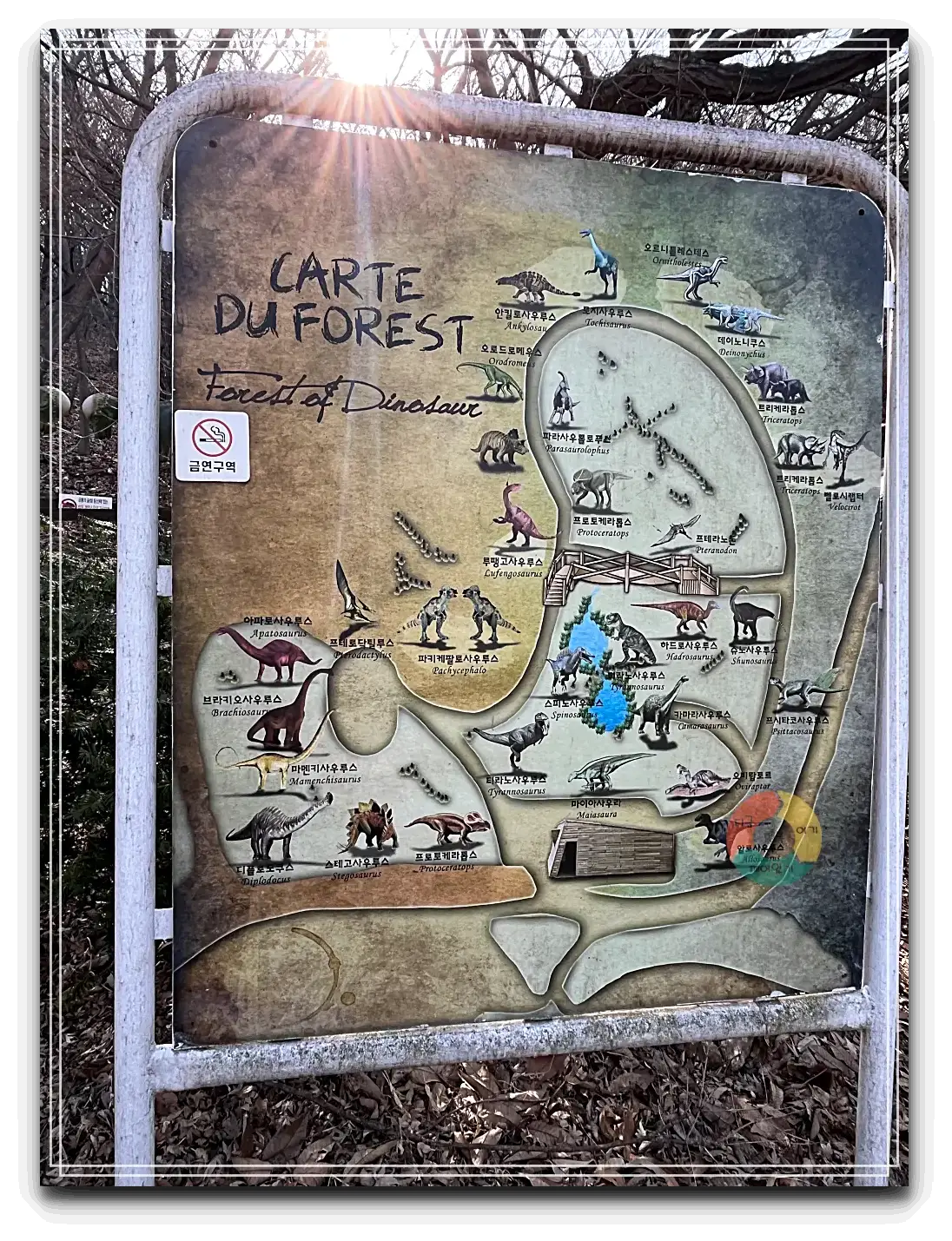 옥토끼우주센터_공룡의 숲-지도