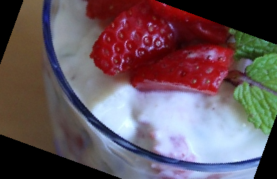 자일로 올리고당 분말 효능 가격