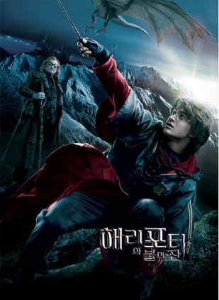 해리포터와 불의 잔 포스터