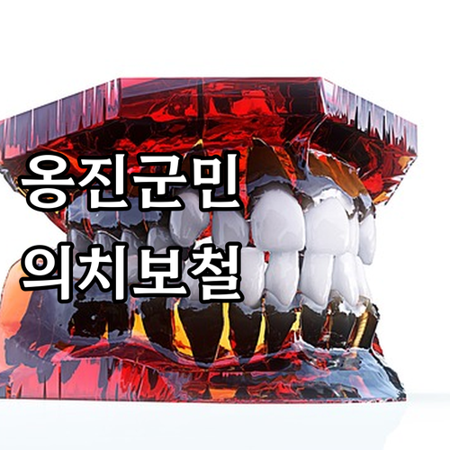 옹진군 2025 의치보철 지원: 지원..