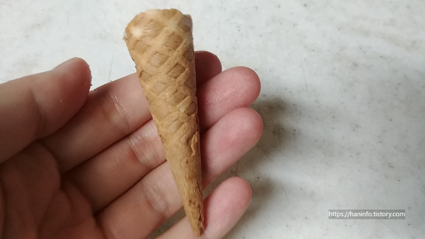 콘꼭다리