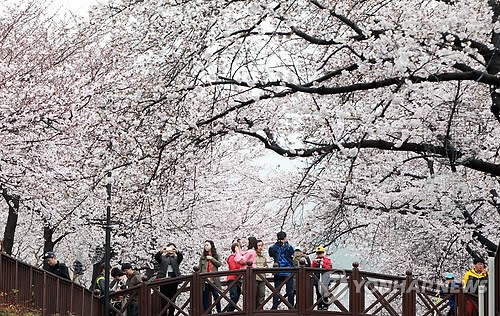 진해군항제 숙소
진해군항제 호텔
