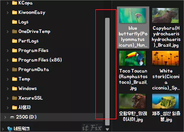 스크롤바 크기 변경