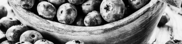 블루베리 묘목 심는 시기 마무리: 적절한 비료 사용