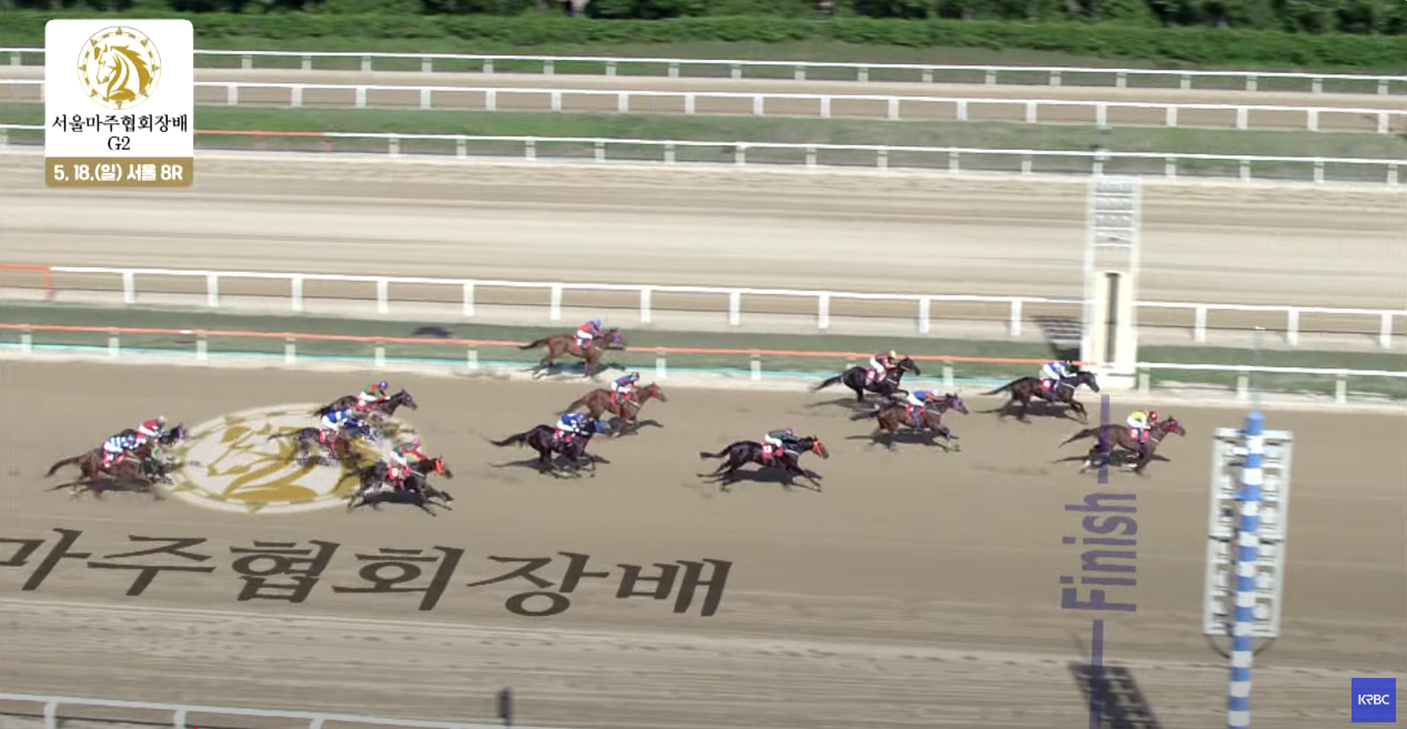 서울마주협회장배 결승선 통과장면