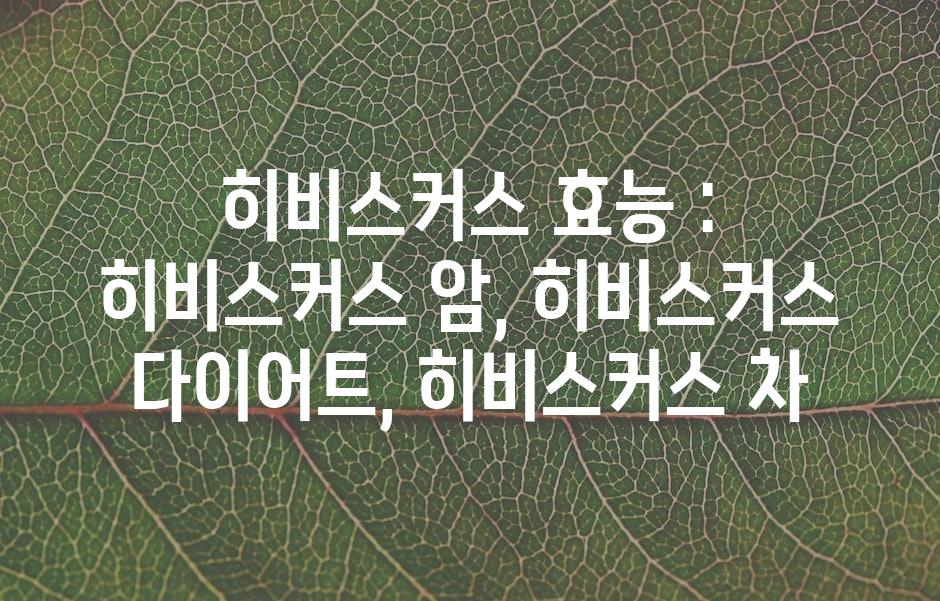 샘플 (43)