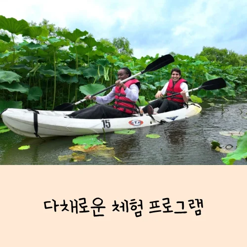 부여서동연꽃축제 완전 정리