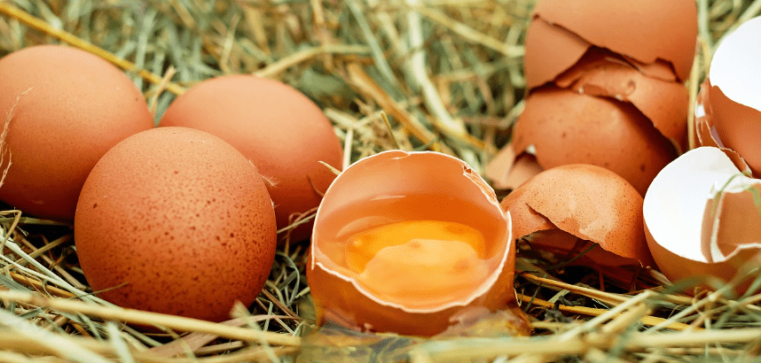 달걀 여러 개가 놓여 있다