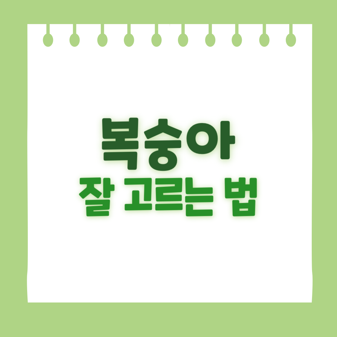 복숭아 잘 고르는 법