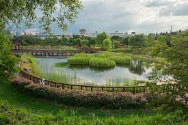 대전 가볼 만한 곳