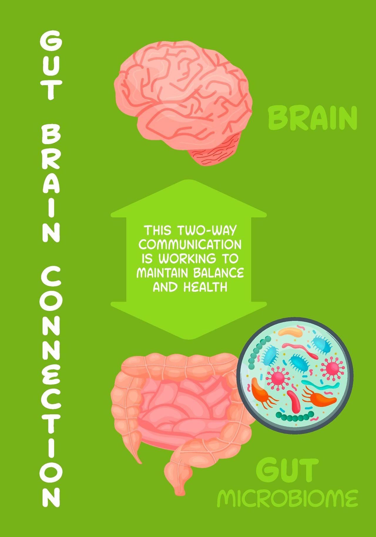 장과 뇌가 연결된 이유와 장 건강이 정신 컨디션에 미치는 영향