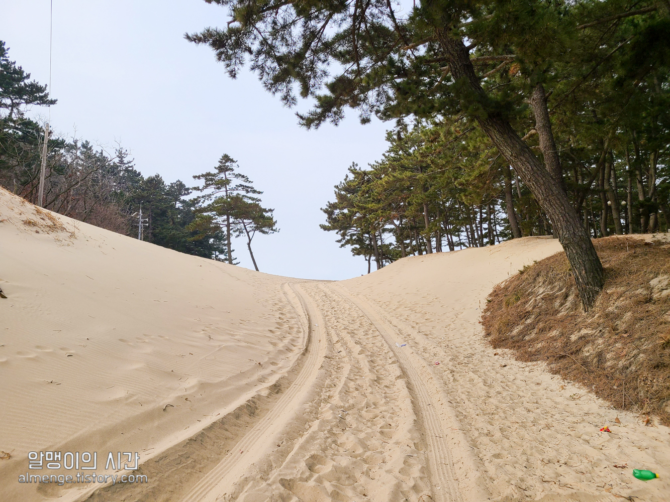 #12 태안 갈음이 해수욕장 백패킹_바람에 텐트 날아간 썰 #오즈의 알맹이 - undefined - 그럼 시작! #12 태안 갈음이 해수욕장 백패킹_바람에 텐트 날아간 썰 #오즈의 알맹이 - undefined - 그럼 시작!