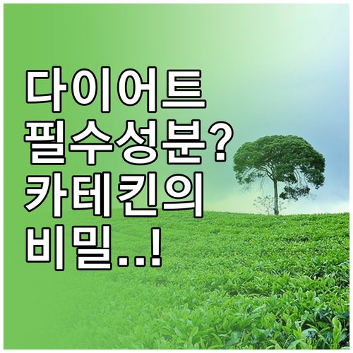 체지방 감소 돕는 그린티 카테킨 성분..