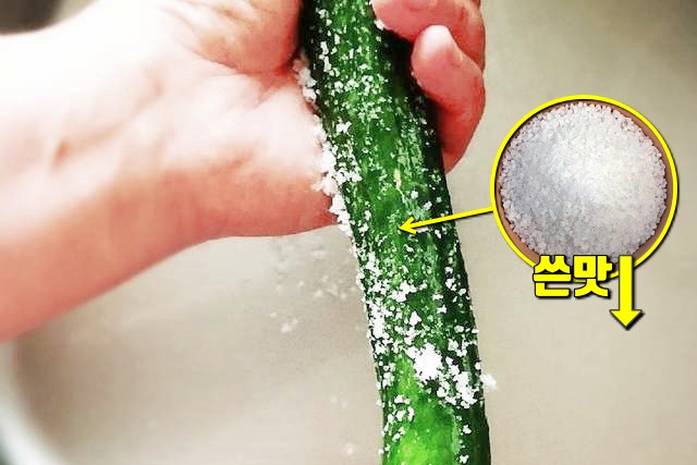 여름 3대 보양채소 오이 꼭지 효능,오이 씻는법,소금