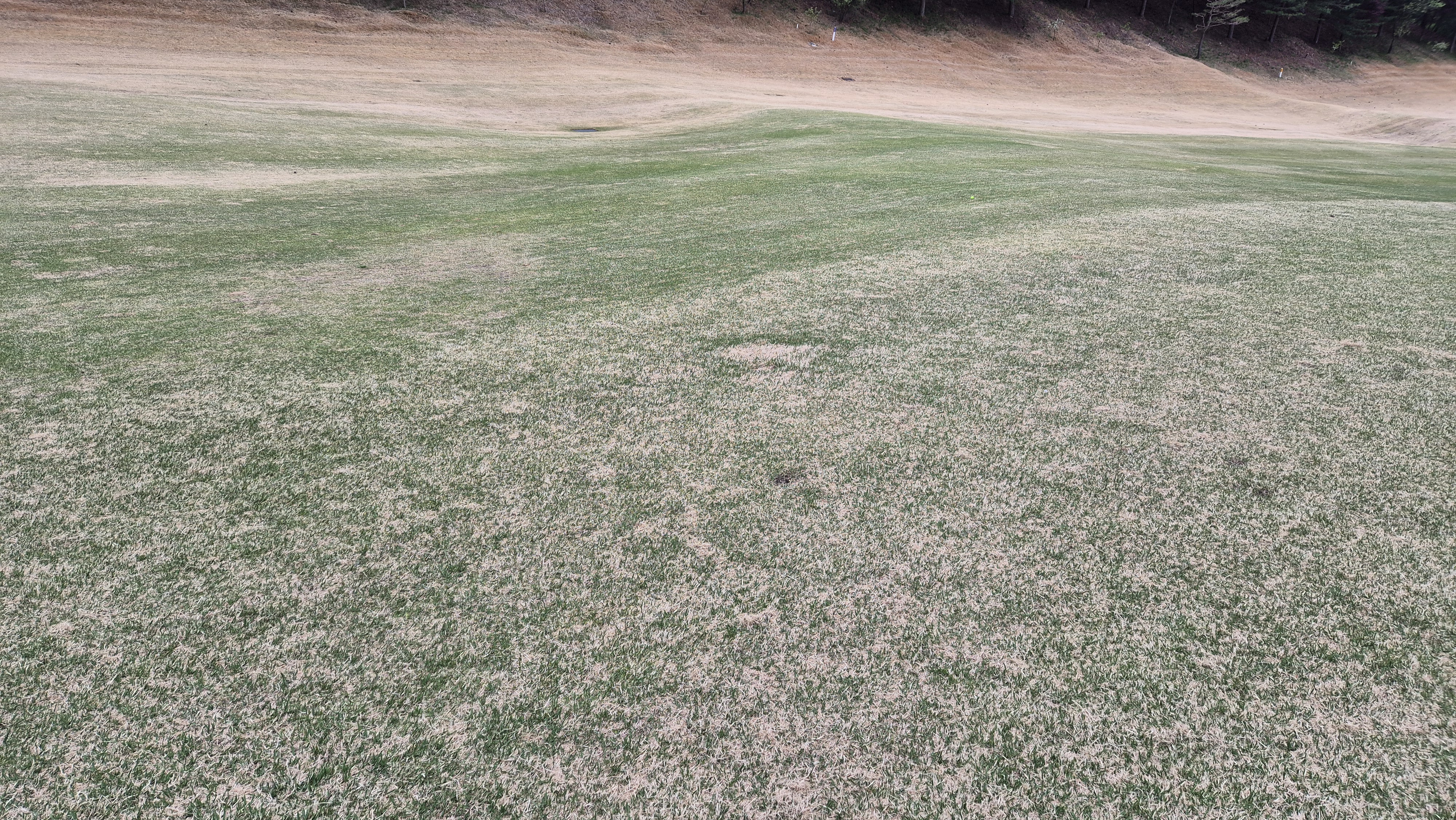 시그너스cc 코튼-라미 코스 난이도