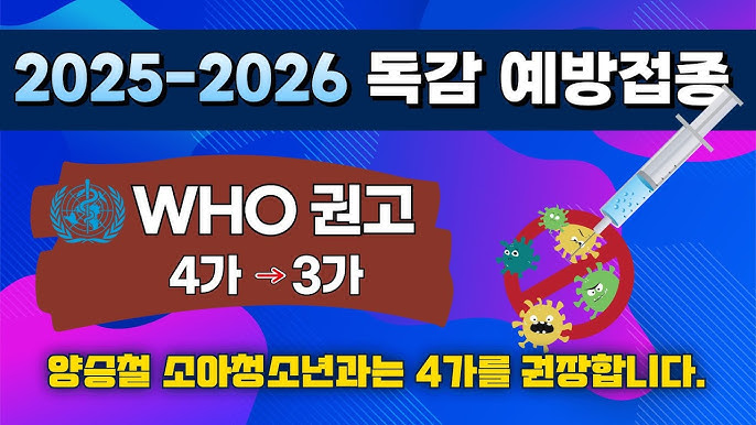 ❄️ 2025~2026 겨울 인플루엔자 예방접종 일정 총정리