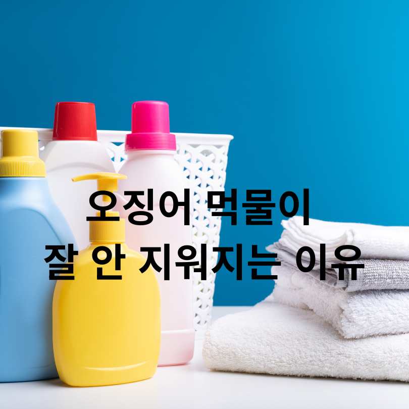 오징어 먹물 지우는 방법 총정리