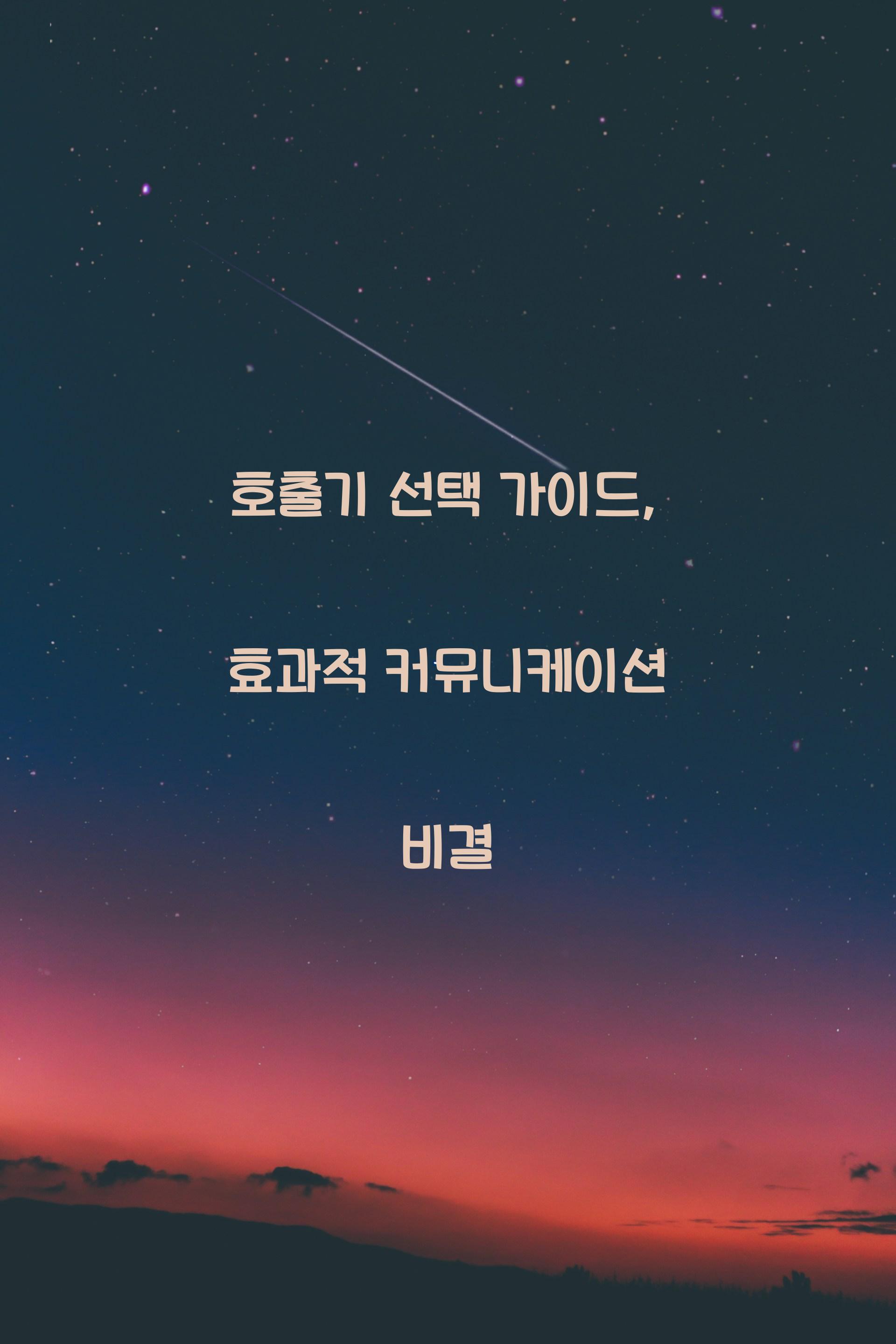 호출기