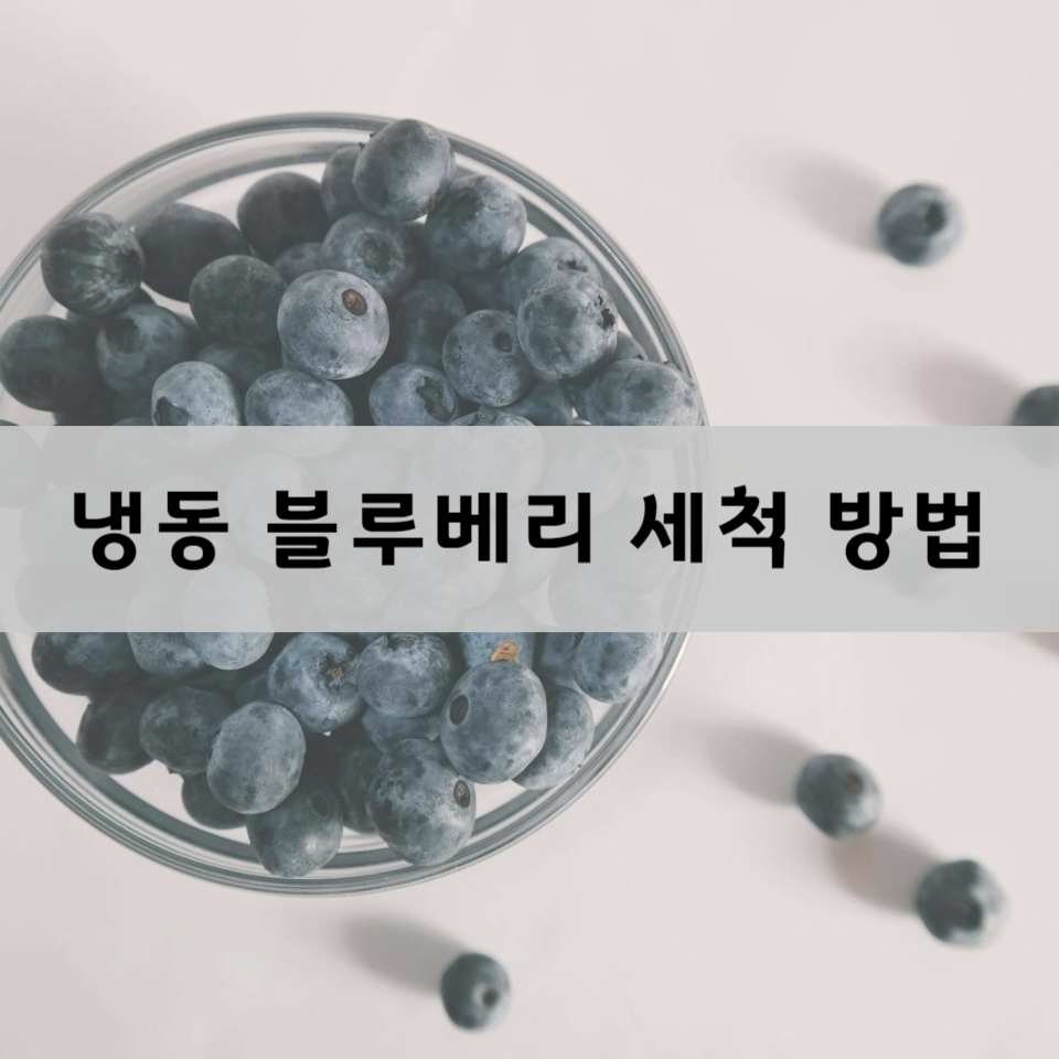 냉동-블루베리-세척-방법
