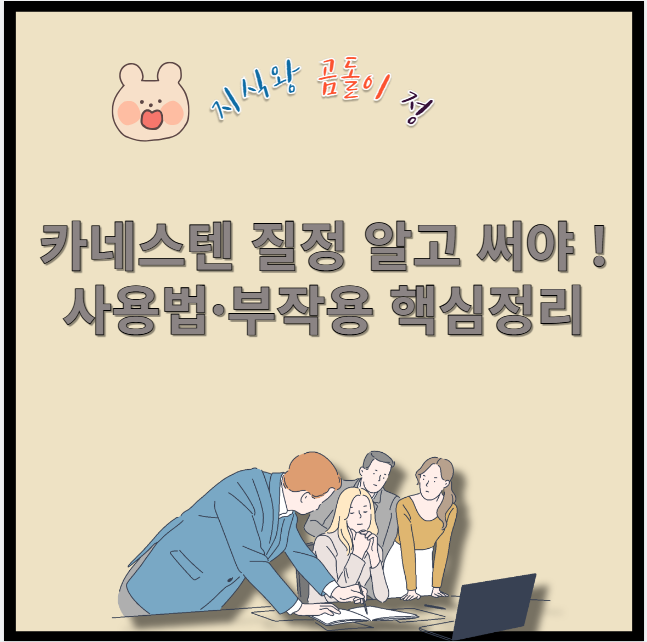 카네스텐 질정 알고 써야!