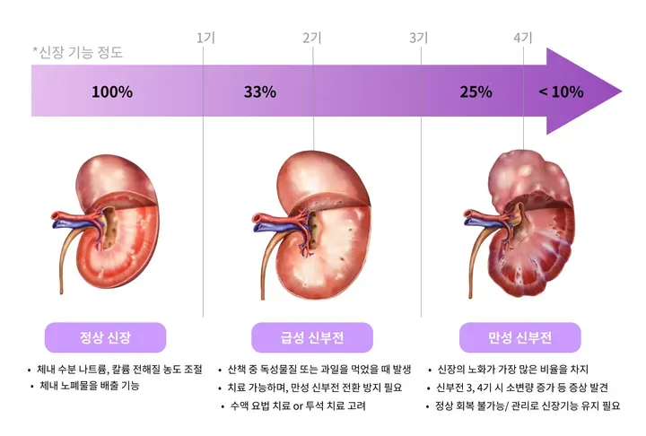 강아지 신부전에 좋은 음식 추천_5