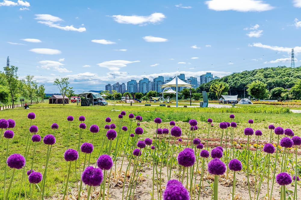 대구시 북구 금호강 오토캠핑장 소개