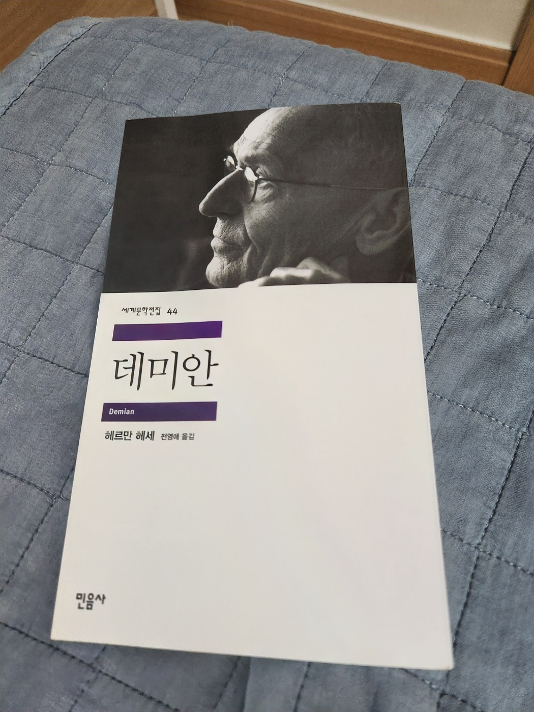 책 '데미안'