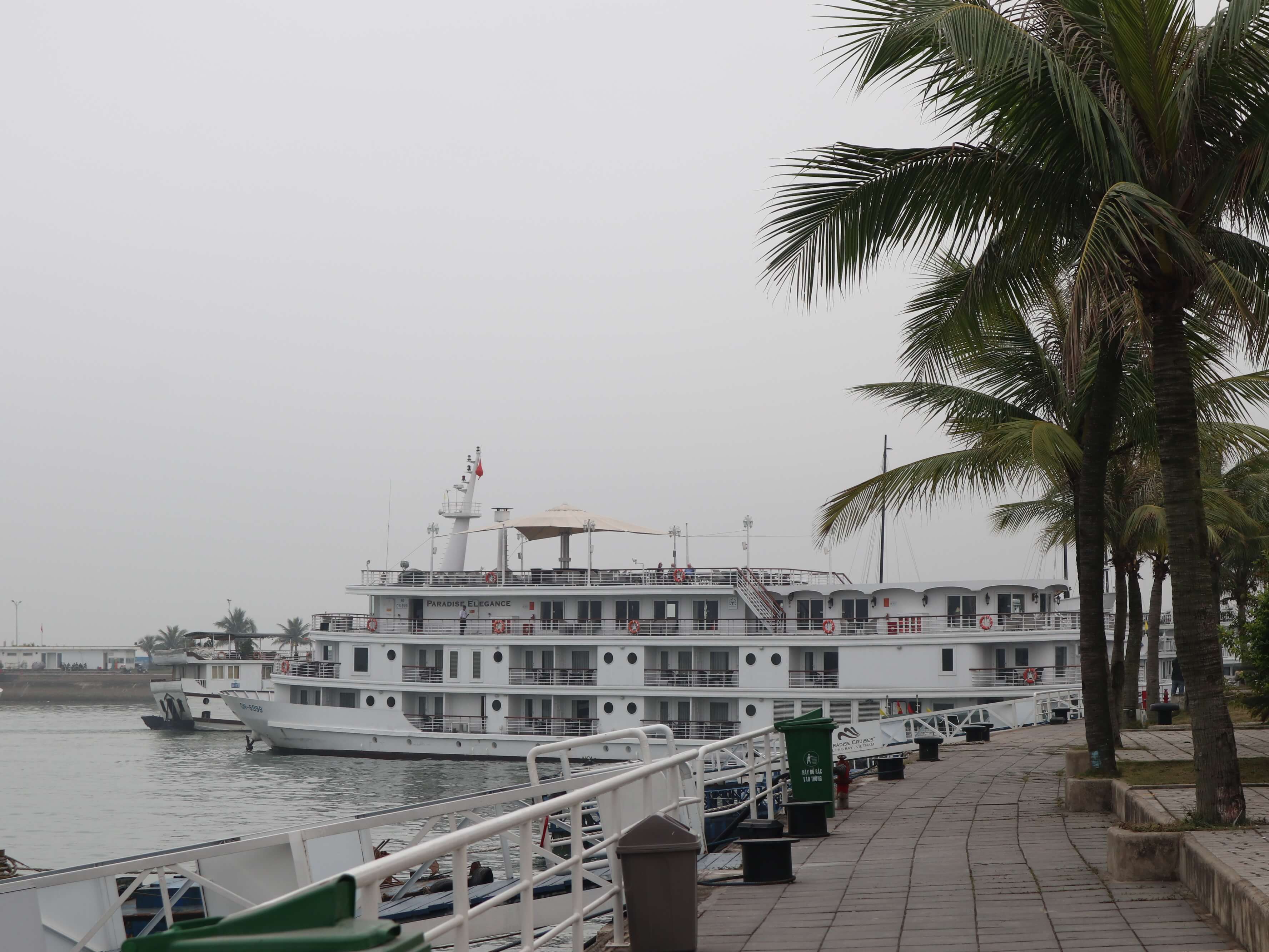 2025년 가족 크루즈 여행 트렌드 관련사진