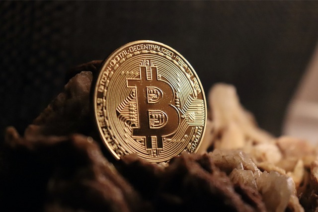 민생회복지원금 신청방법 필요서류