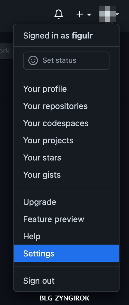 github-프로필-메뉴창-모습이다.