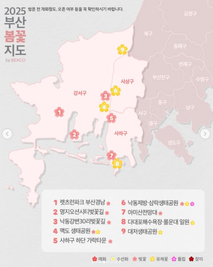 2025 부산 봄 꽃구경 지도