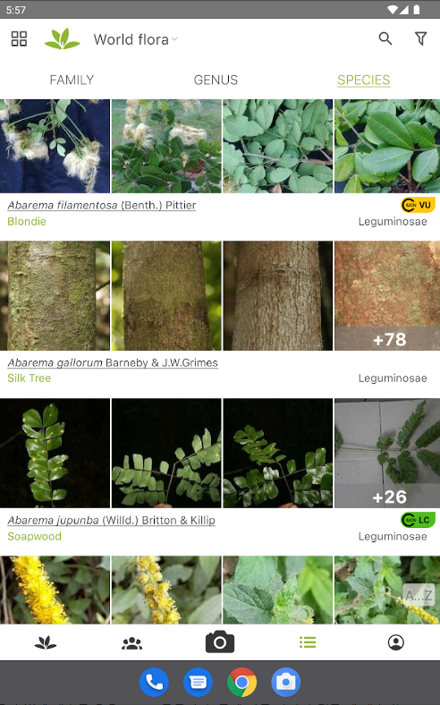 꽃 이름 찾기 어플, PlantNet Plant Identification