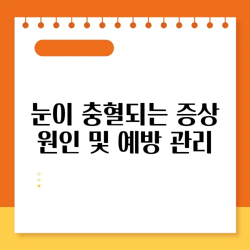 눈이 충혈되는 증상 원인 및 예방 관리