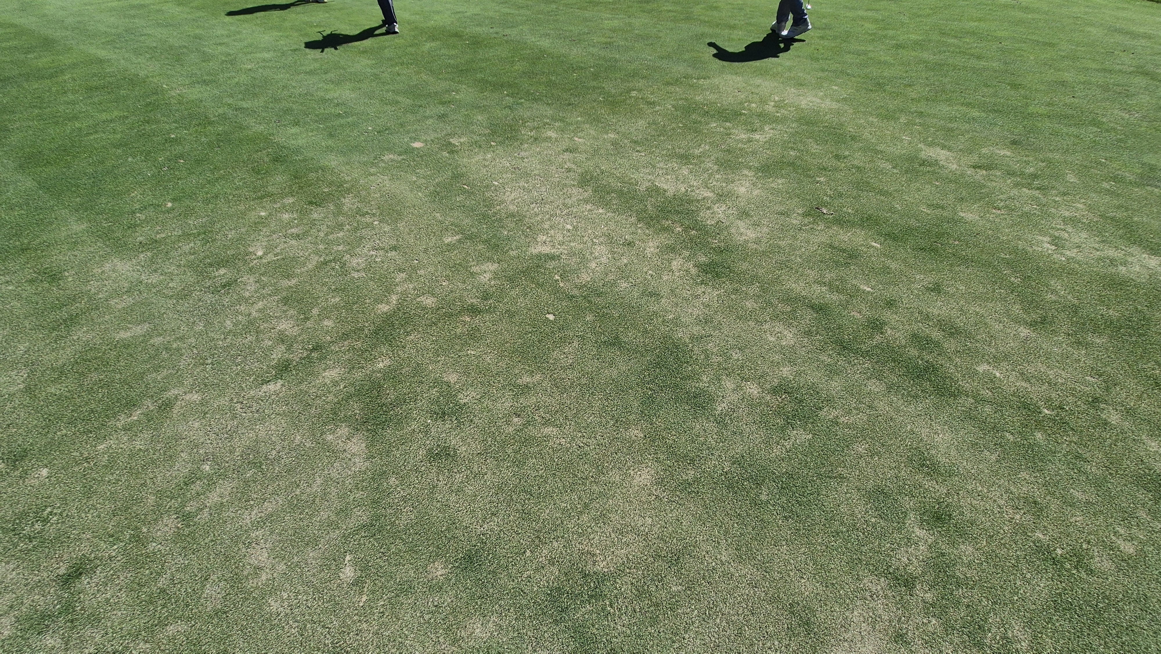 골프존카운티 화랑 라운드 후기