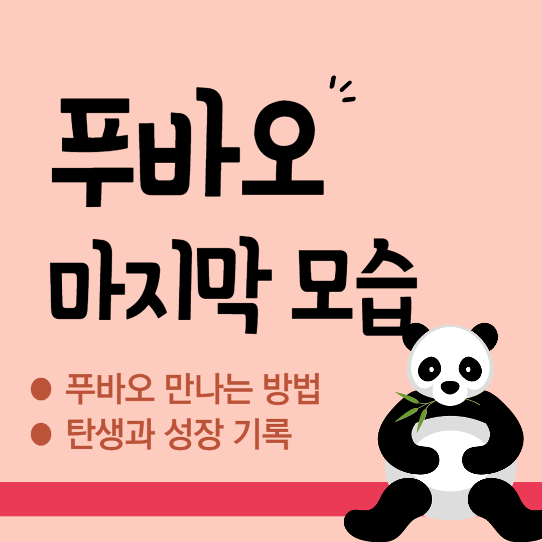 푸바오 마지막 모습