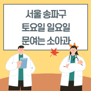 서울 송파구 토요일 일요일 소아과 진료 병원 리스트