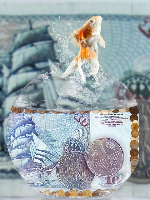 돈이 가득 찬 어항 속 물고기
