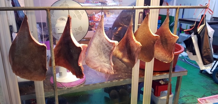 6시 내고향 정읍 홍어회와 홍어무침 맛집 샘골홍어나라 택배주문방법