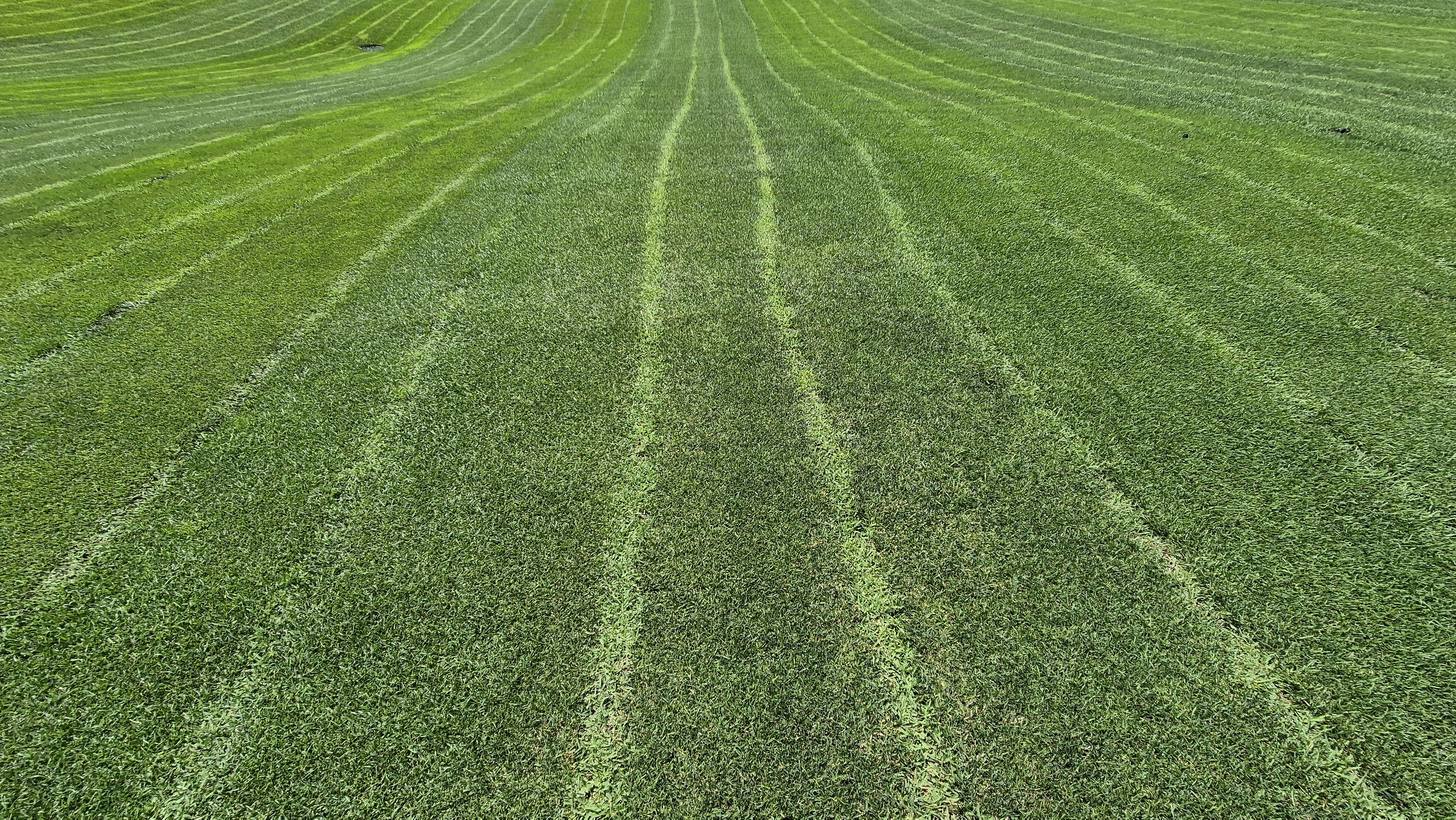 샤인데일cc 라운드 후기