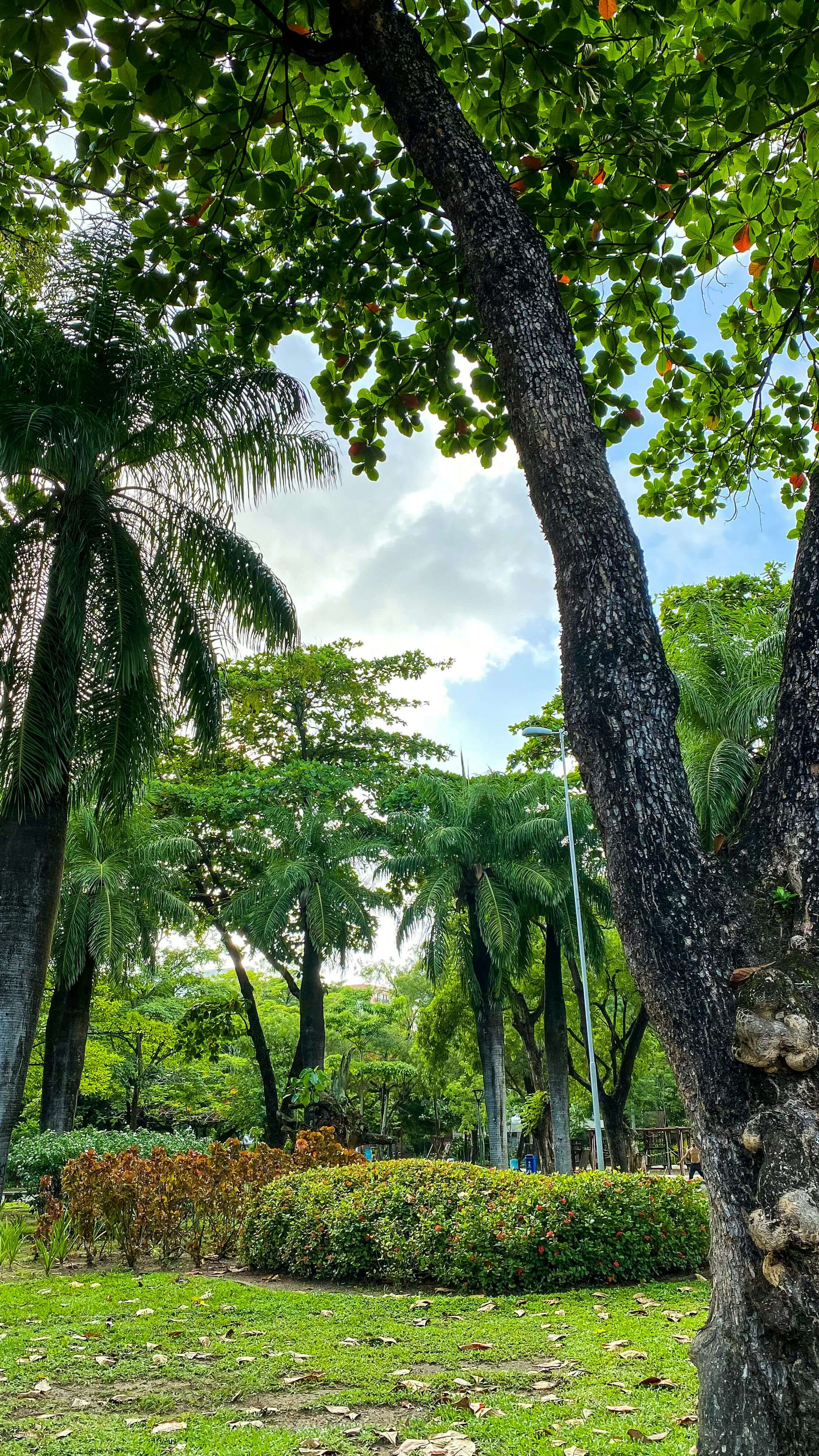 금선사 템플스테이 예약 방법 일정 총정리